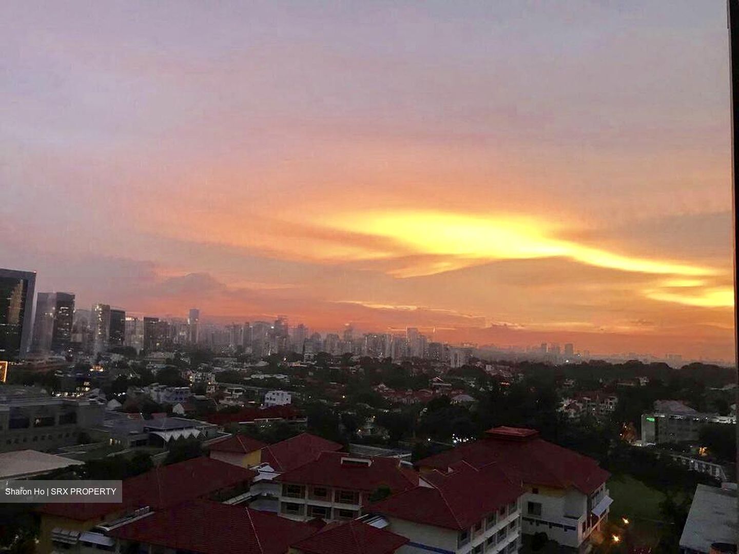 Domus (D12), Apartment #499405001